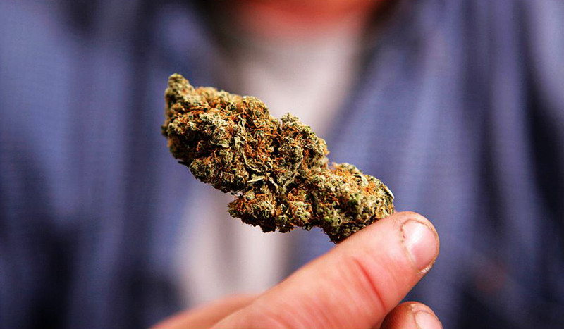 研究表明:大麻可能有效治疗癌症